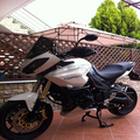 billis 1050